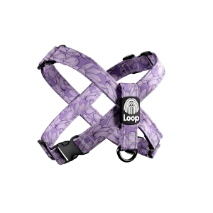 Blooming Aura - "X" am