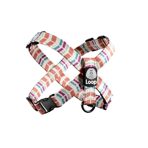 Nomad Harmony - "X" am