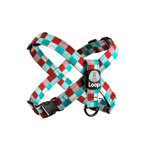 Timeless Trend - "X" am
