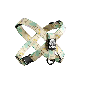 Playful Rhythm - "X" am