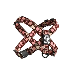 Christmas Surprise - "X" am